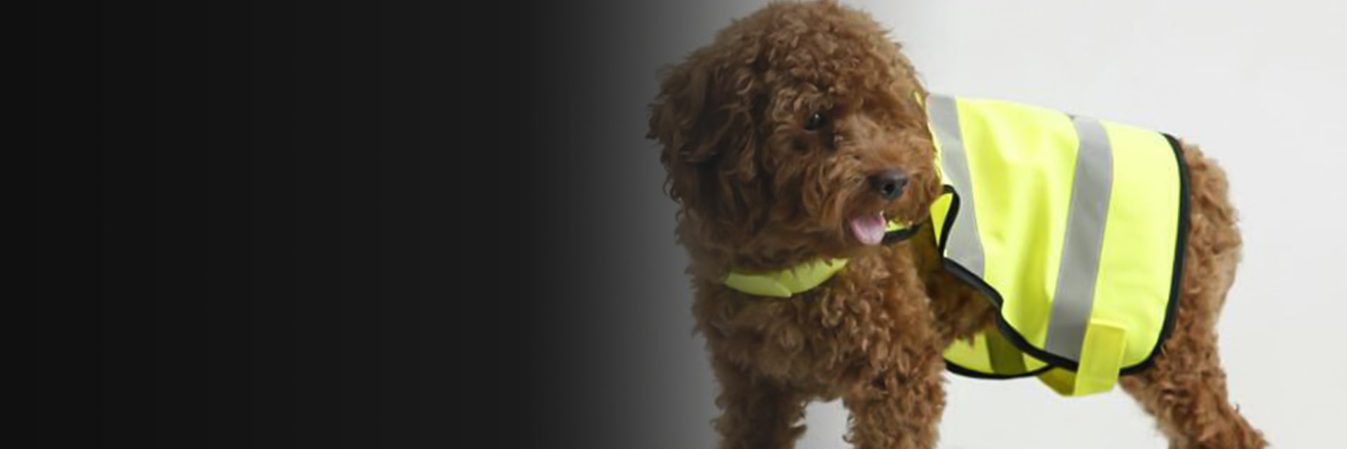 Pet Safety Vests